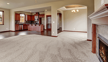 carpet cleaning