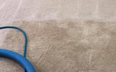 The Best Carpet Cleaning Tips & Solutions for Homeowners in Adelaide