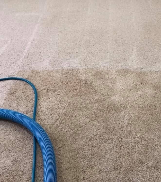 Carpet Cleaning Adelaide